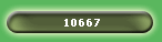 10667